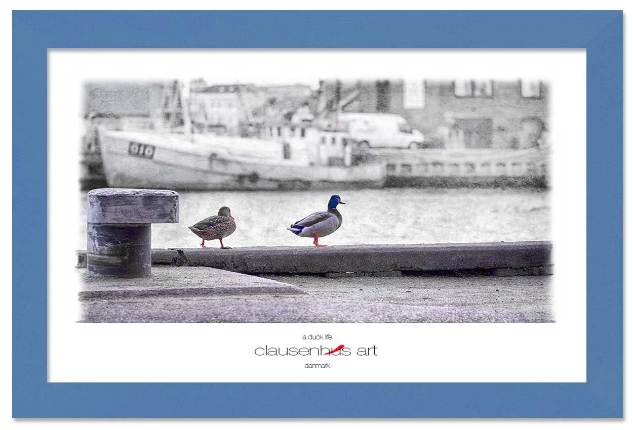a-duck-life-copy.jpg