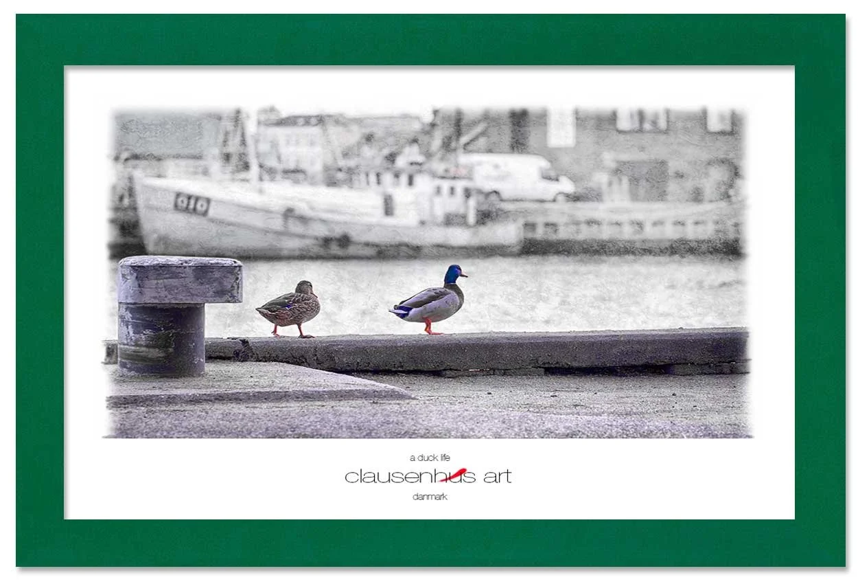 a-duck-life-copy.jpg