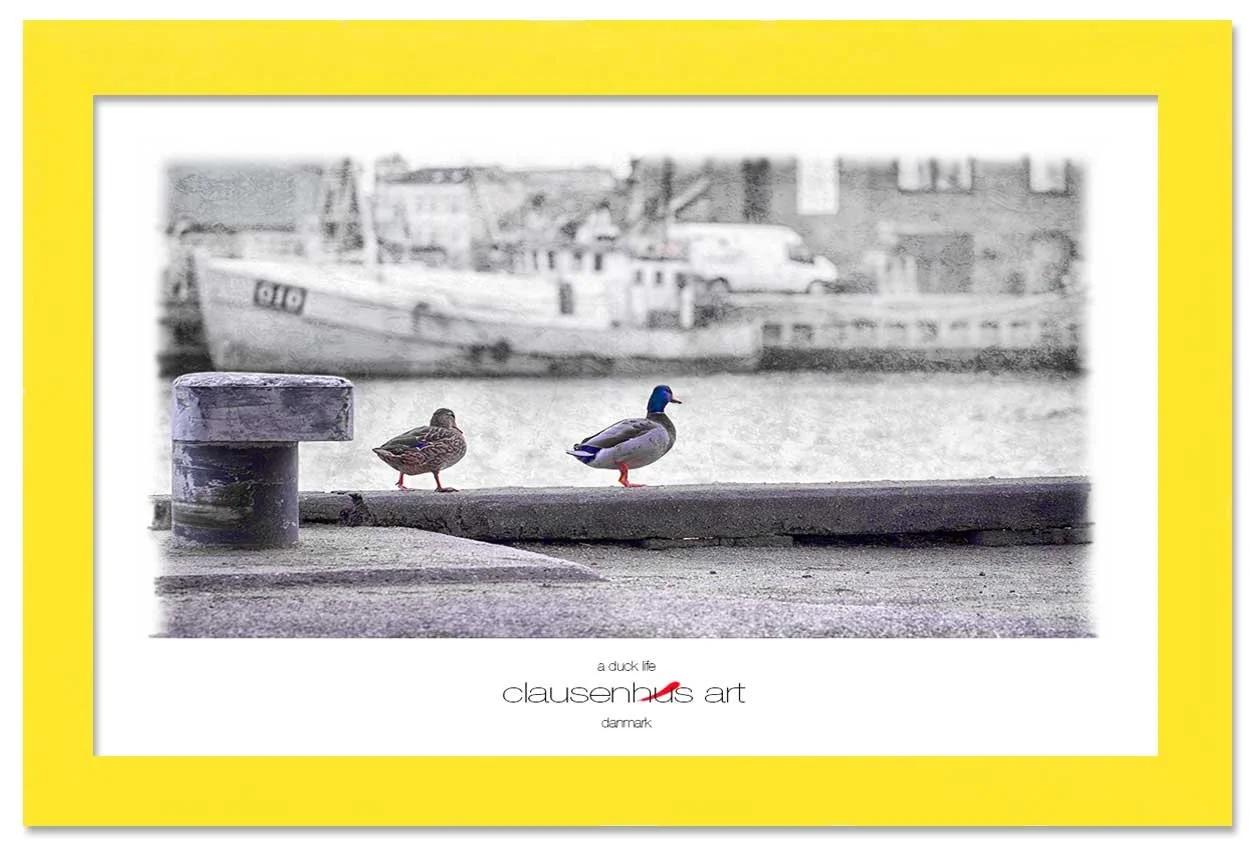 a-duck-life-copy.jpg