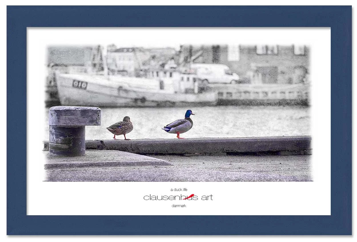 a-duck-life-copy.jpg