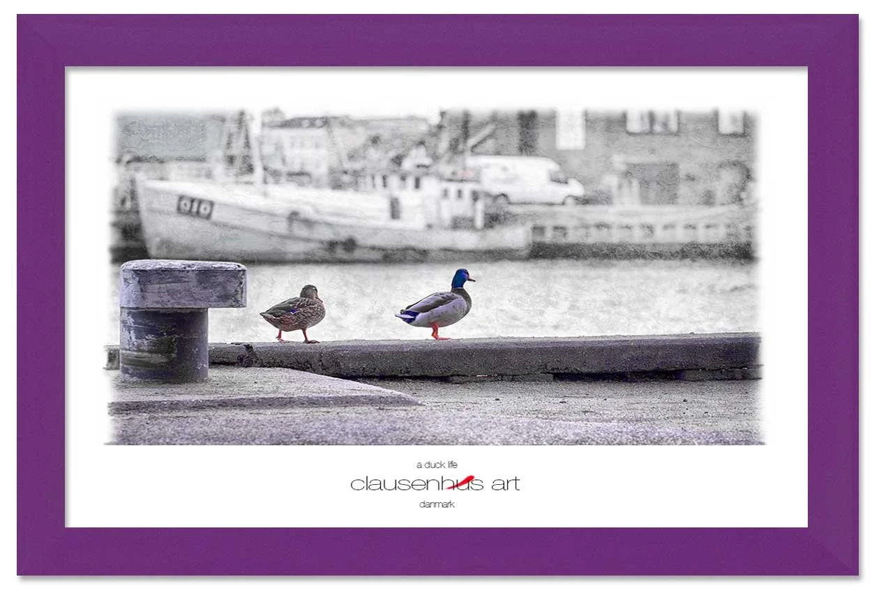 a-duck-life-copy.jpg