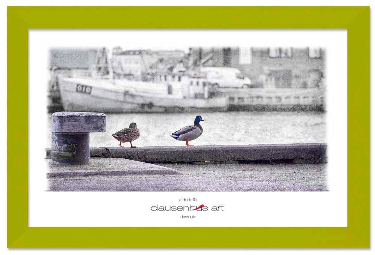 a-duck-life-copy.jpg