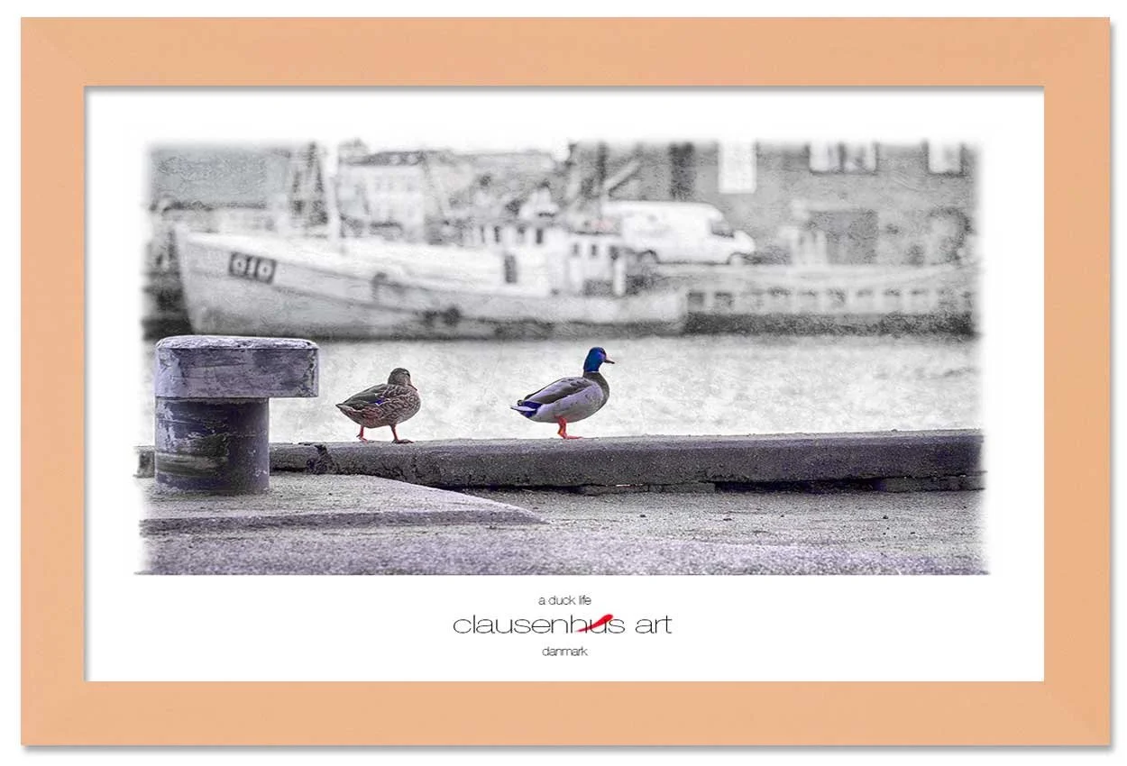 a-duck-life-copy.jpg
