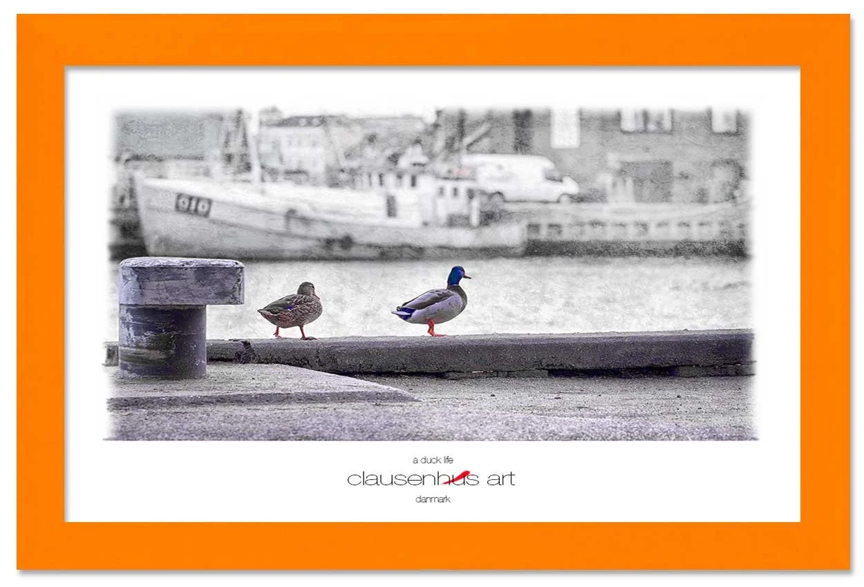 a-duck-life-copy.jpg