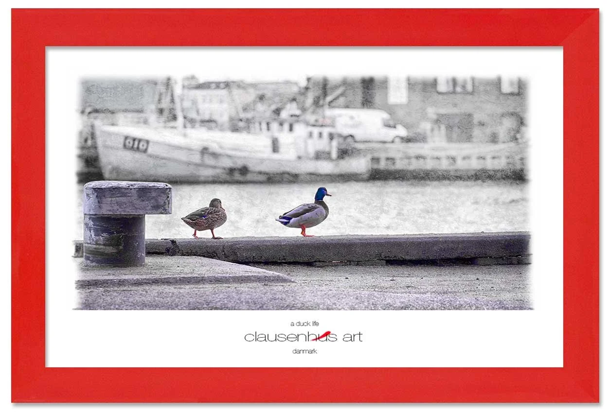 a-duck-life-copy.jpg