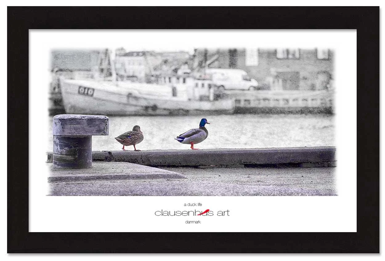 a-duck-life-copy.jpg