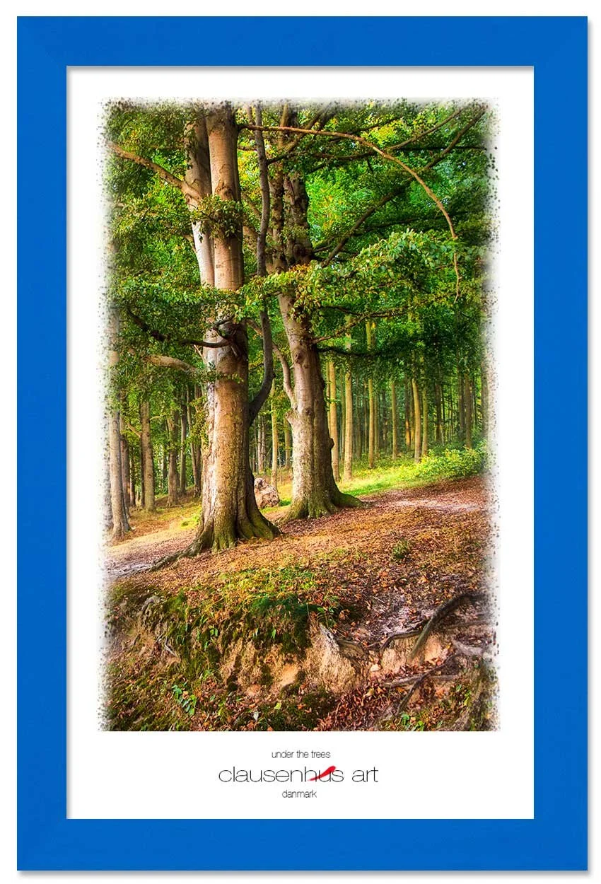 under-the-trees-copy.jpg