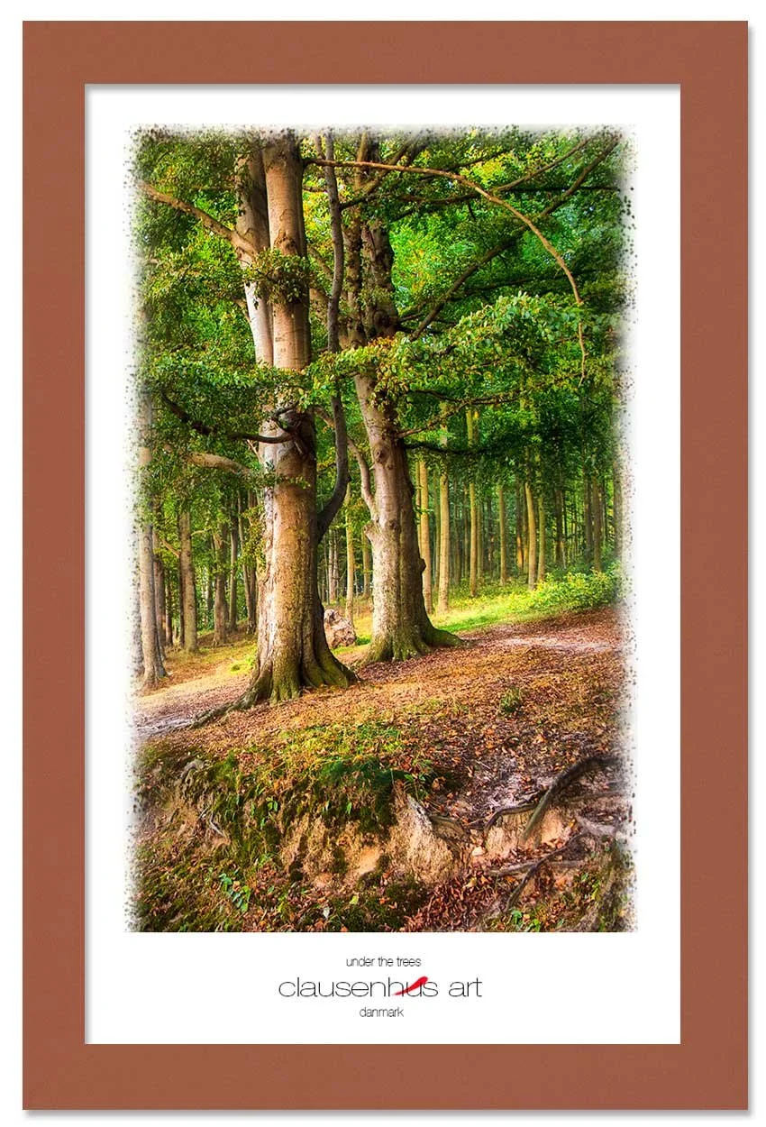 under-the-trees-copy.jpg