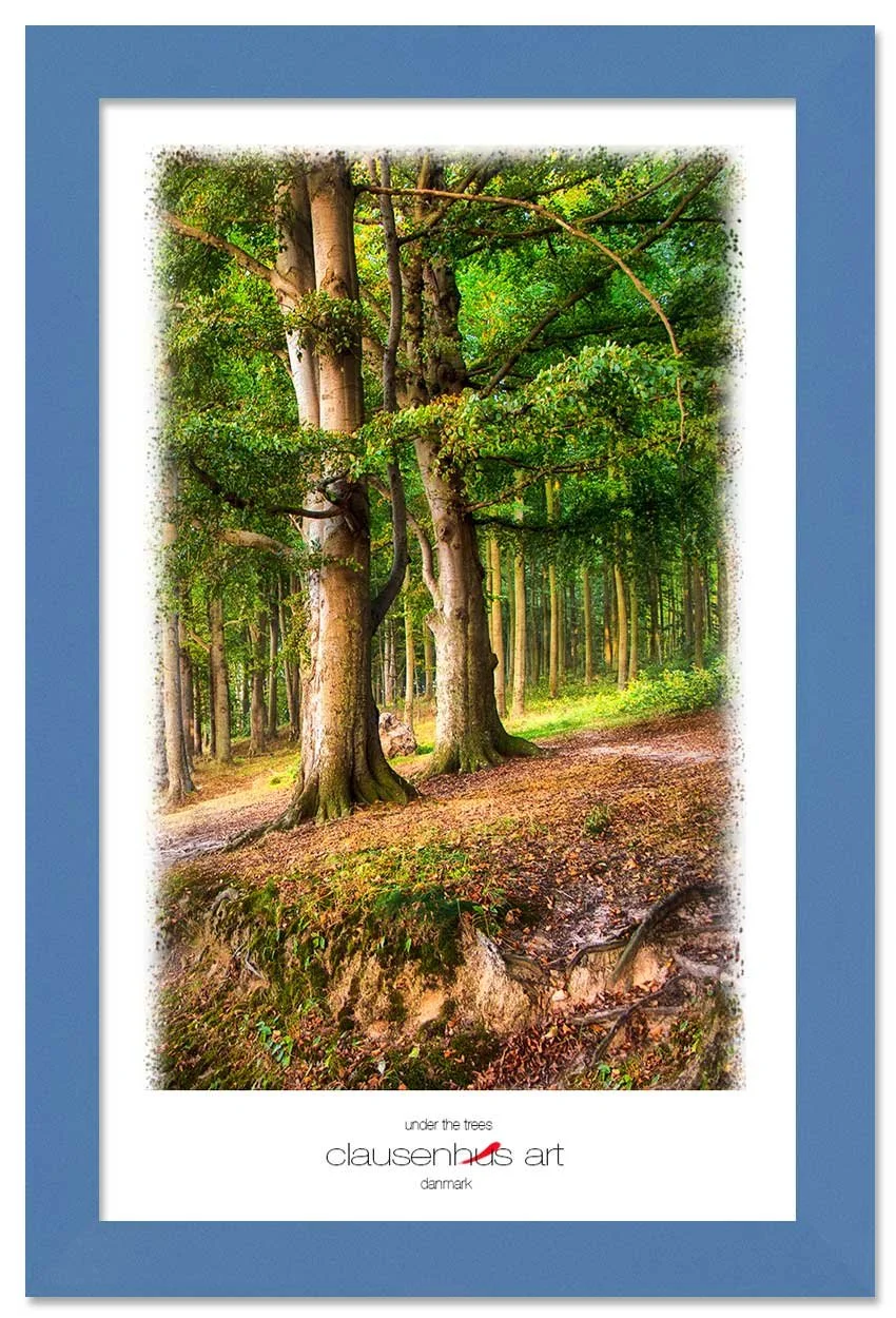 under-the-trees-copy.jpg