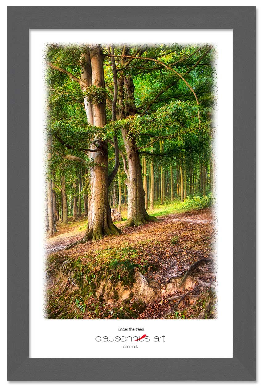 under-the-trees-copy.jpg