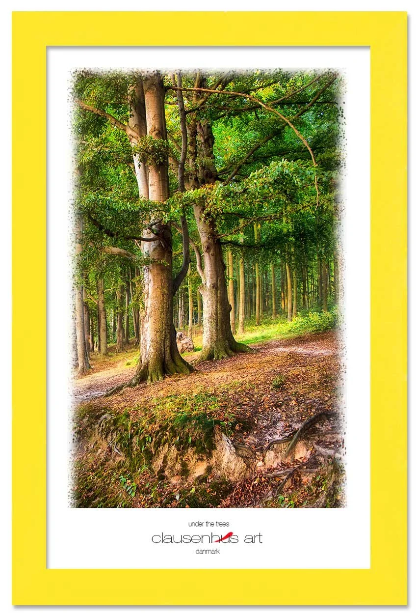 under-the-trees-copy.jpg