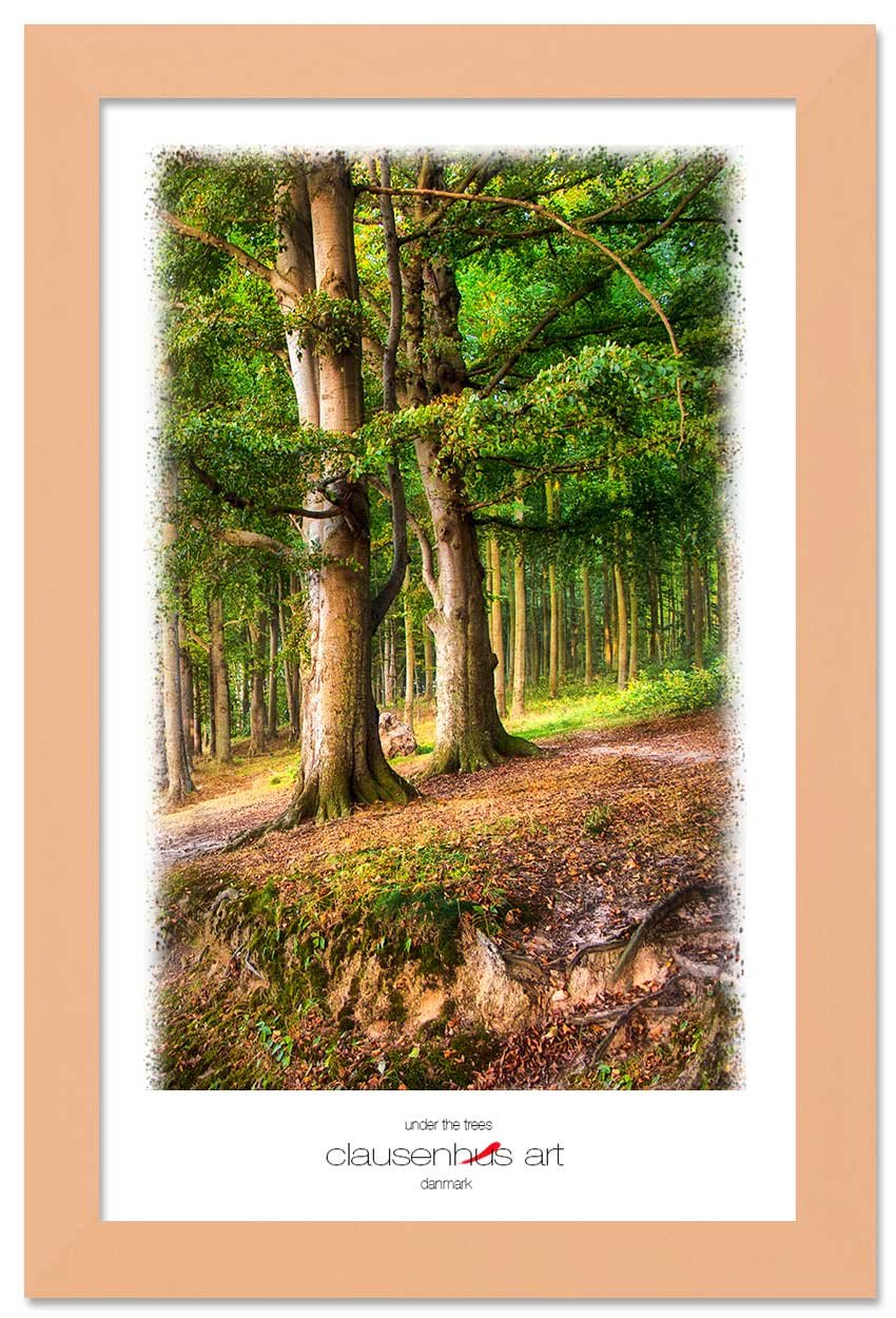 under-the-trees-copy.jpg