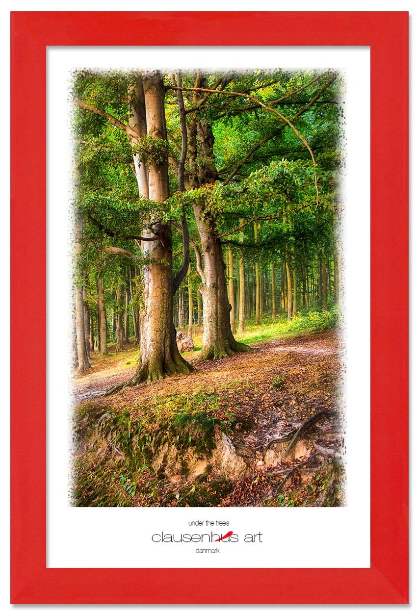 under-the-trees-copy.jpg