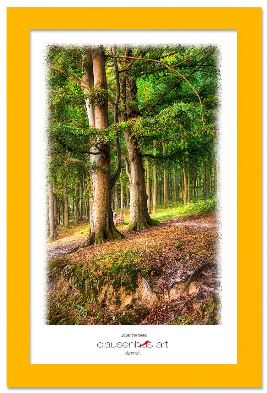 under-the-trees-copy.jpg