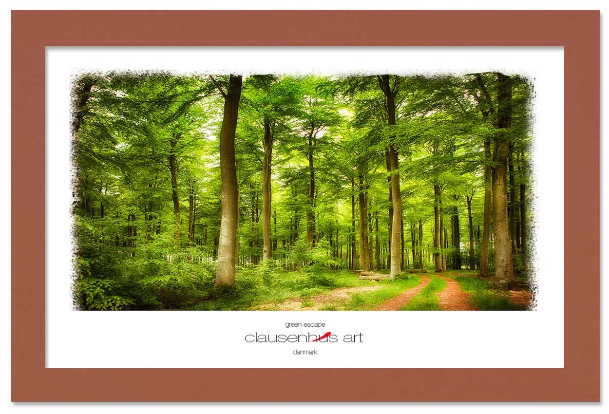 green-escape-copy.jpg
