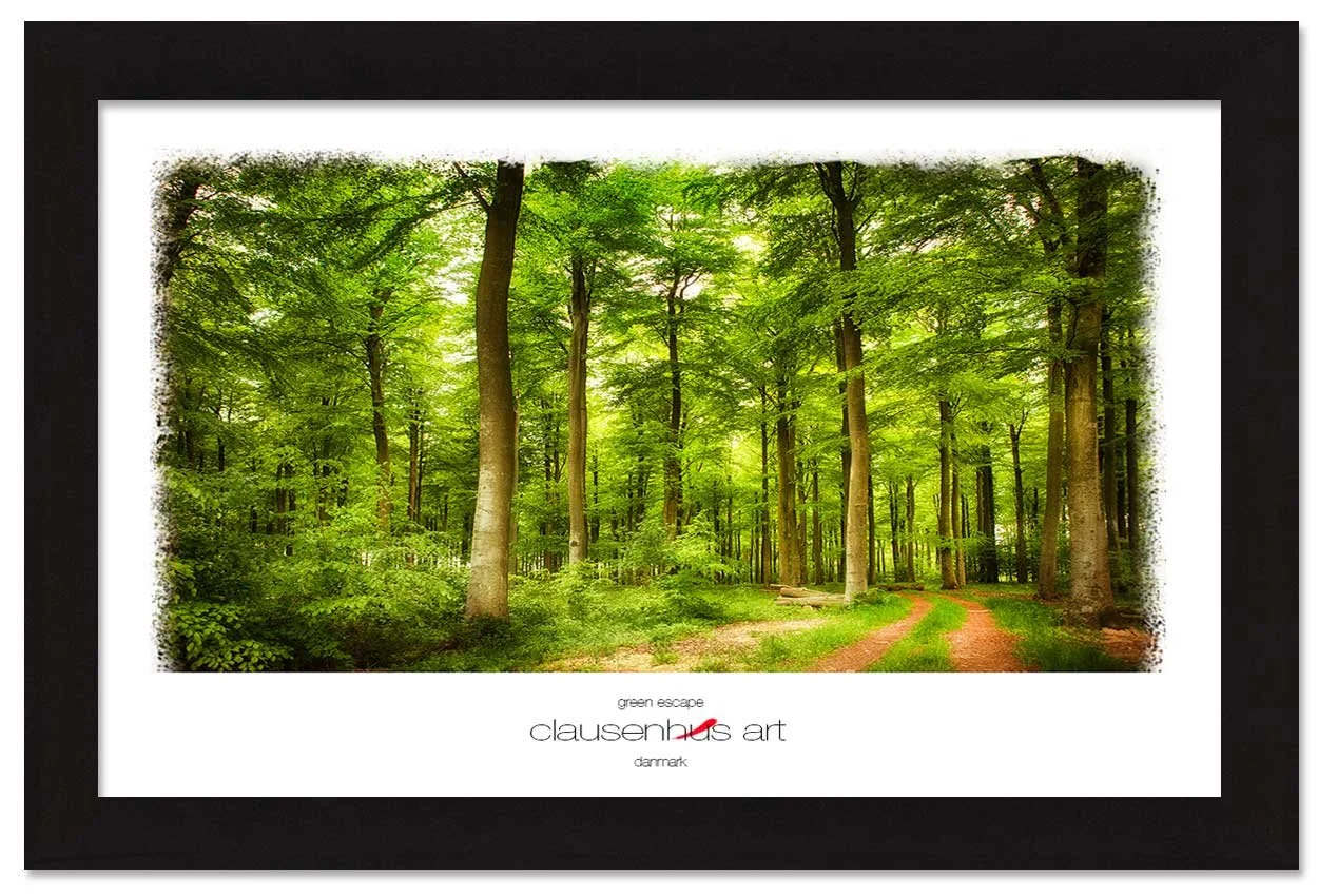 green-escape-copy.jpg