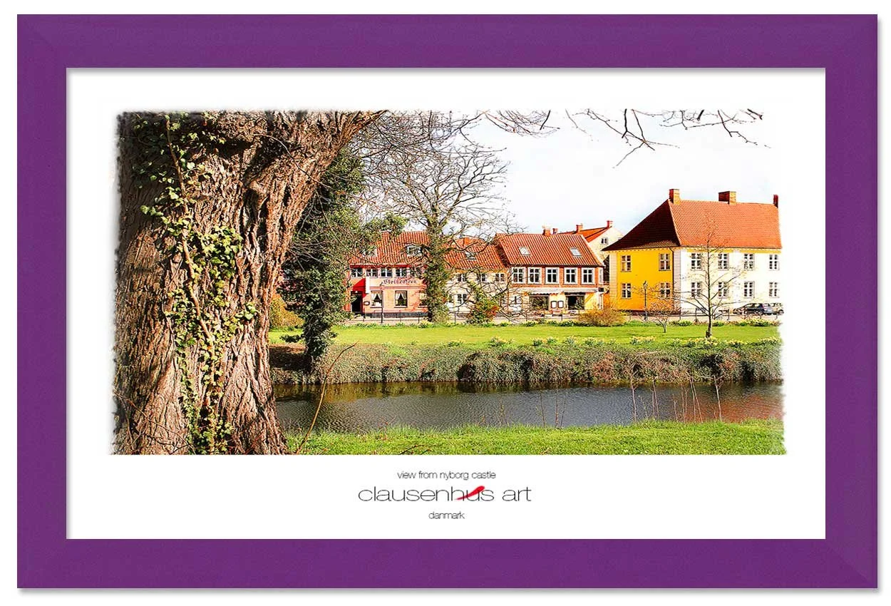 view-from-nyborg-castle-copy.jpg