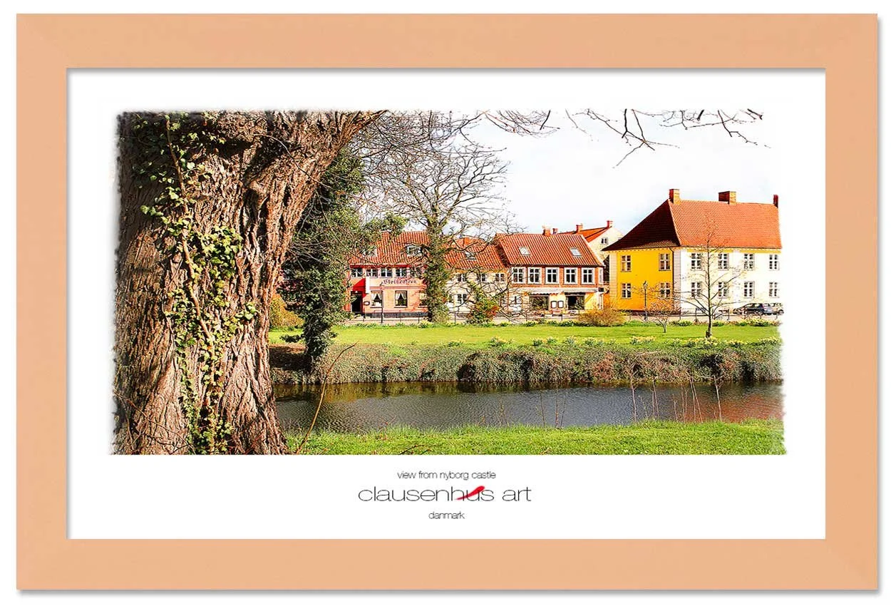view-from-nyborg-castle-copy.jpg