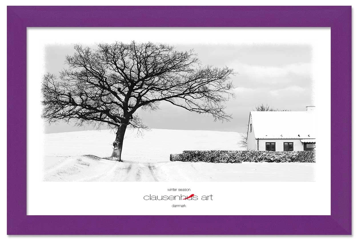 winter-season-copy.jpg