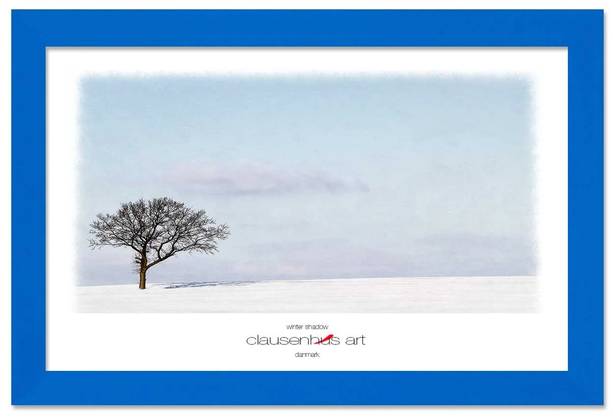 winter-shadow-copy.jpg