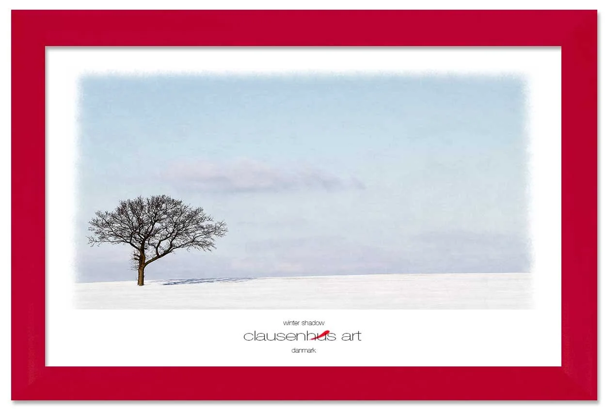 winter-shadow-copy.jpg