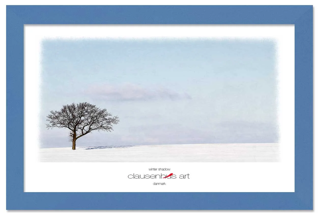 winter-shadow-copy.jpg