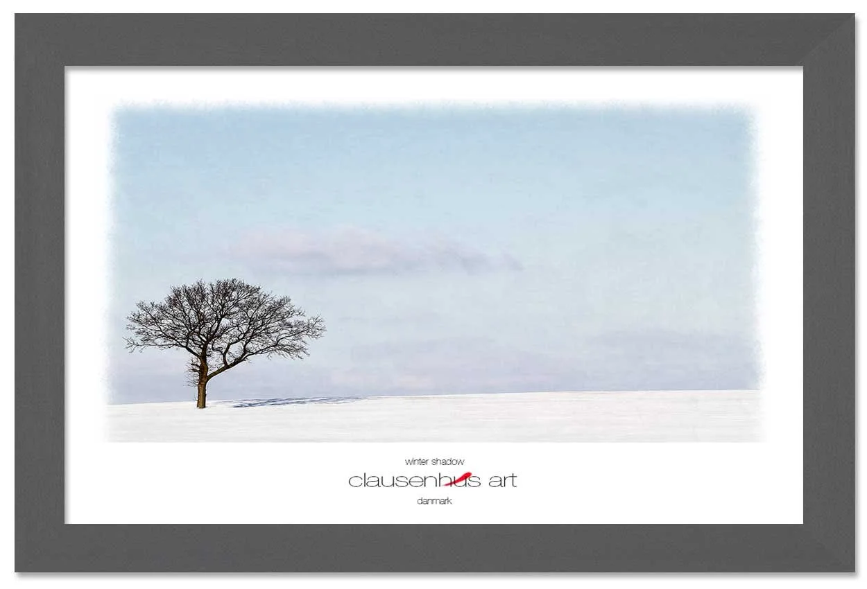 winter-shadow-copy.jpg