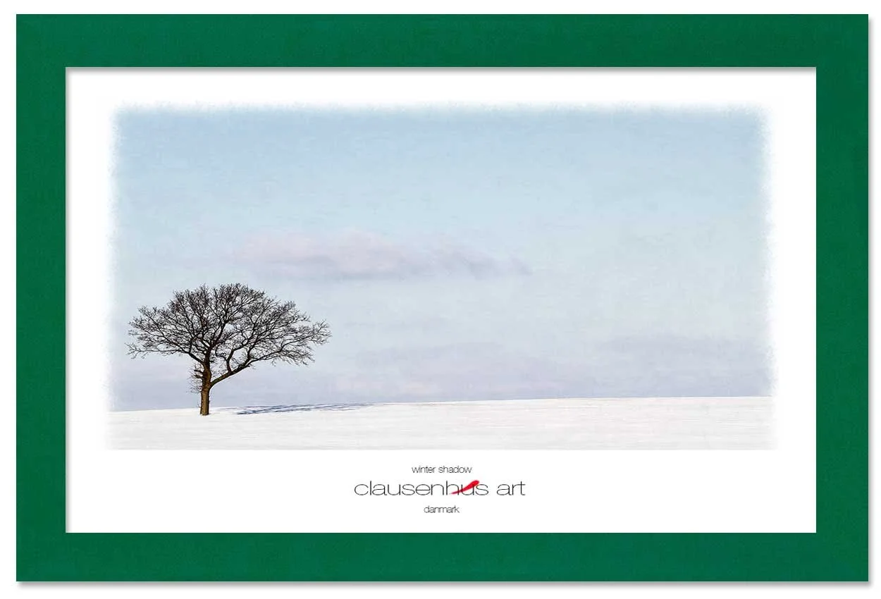 winter-shadow-copy.jpg