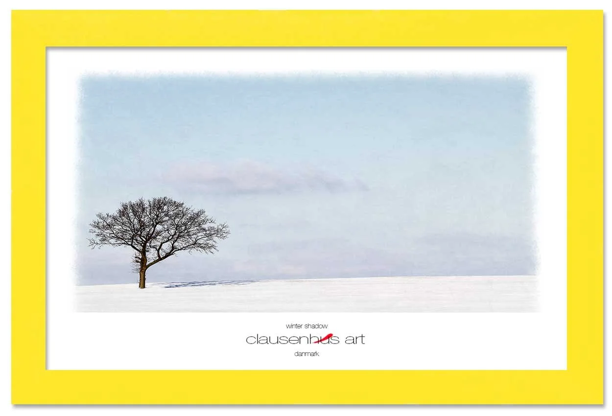 winter-shadow-copy.jpg