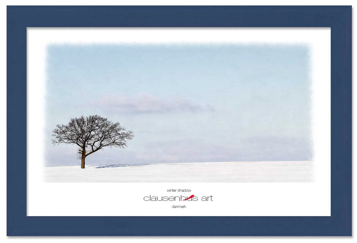 winter-shadow-copy.jpg