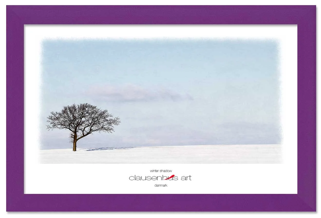 winter-shadow-copy.jpg