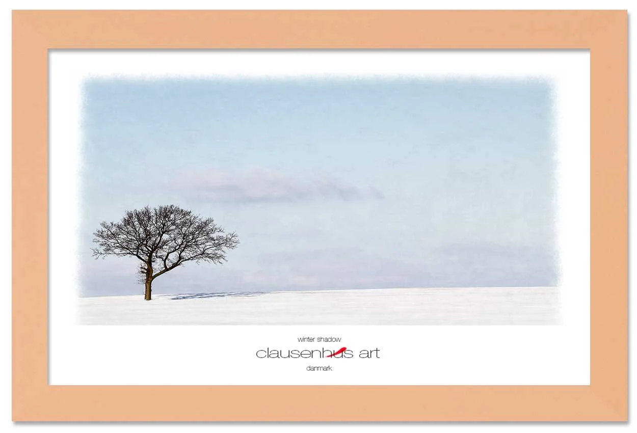 winter-shadow-copy.jpg