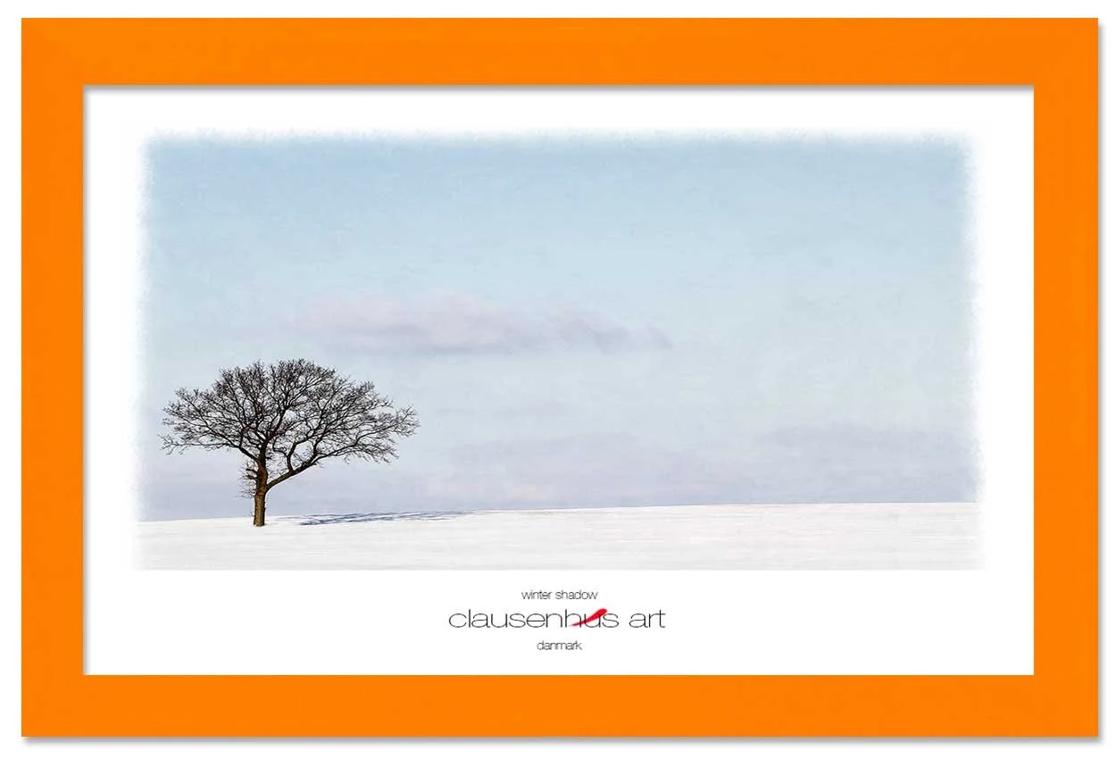 winter-shadow-copy.jpg