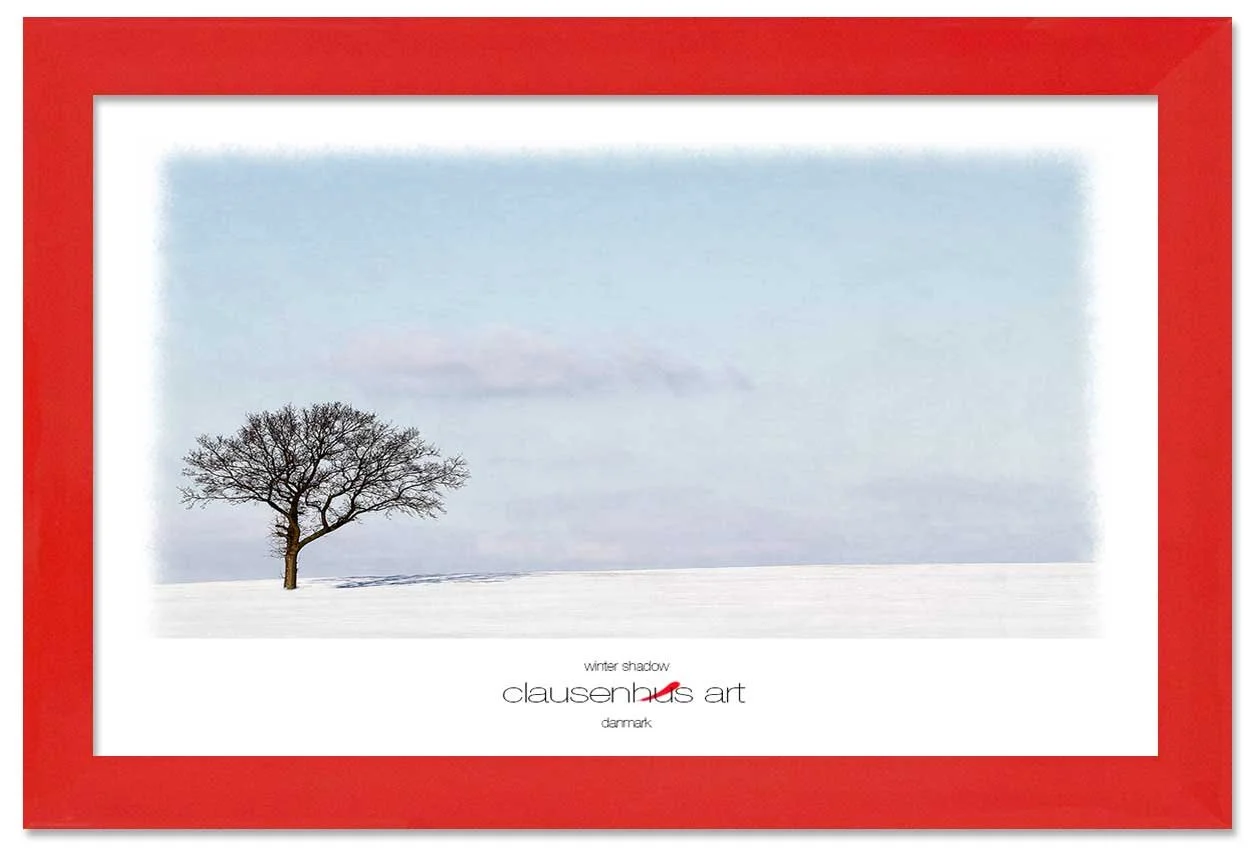winter-shadow-copy.jpg