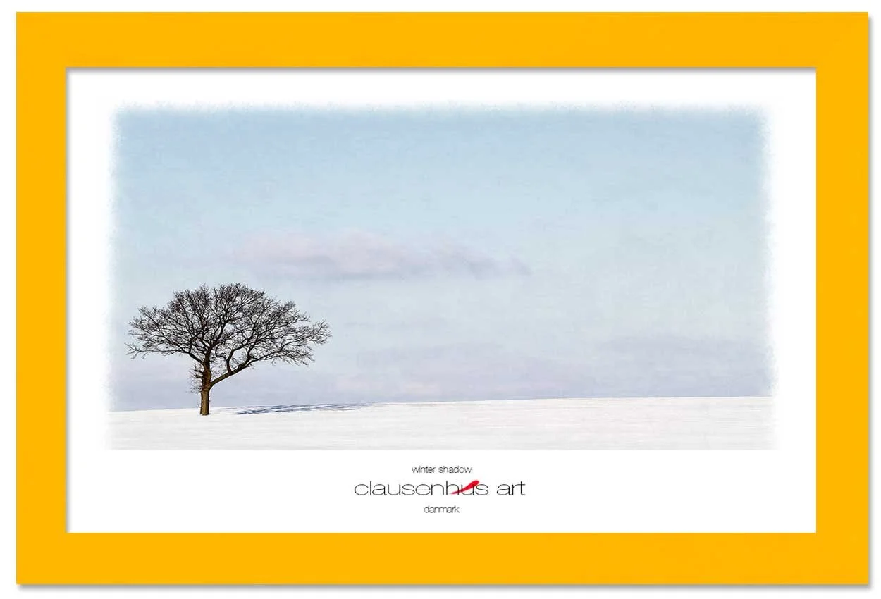 winter-shadow-copy.jpg