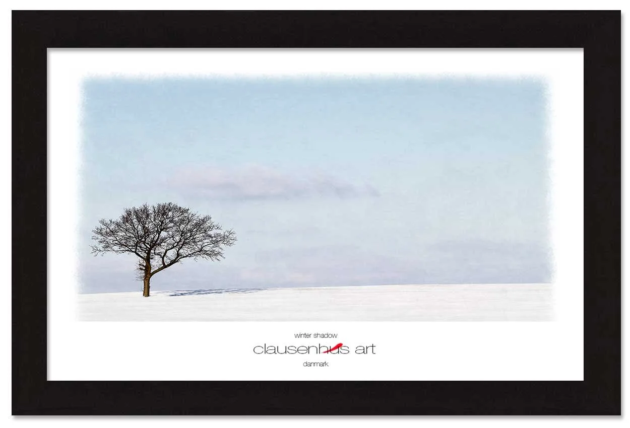 winter-shadow-copy.jpg