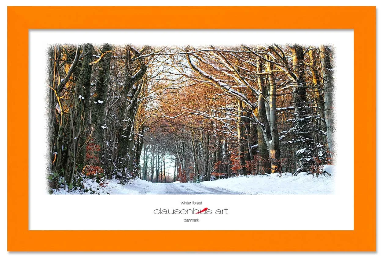 winter-forest-copy.jpg