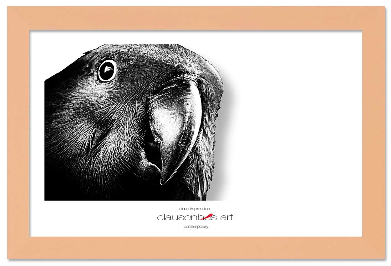 close-impression-copy.jpg