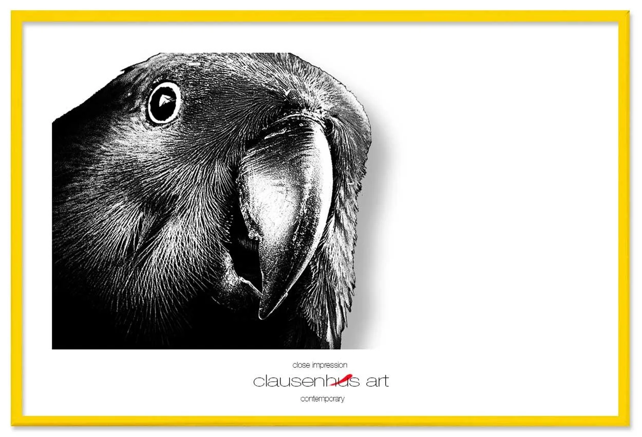 close-impression-copy.jpg