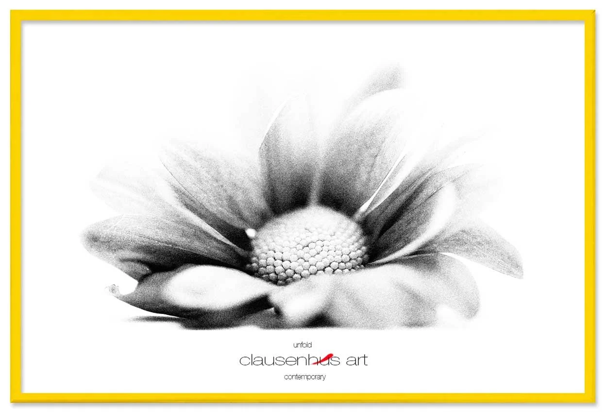 unfold-copy.jpg