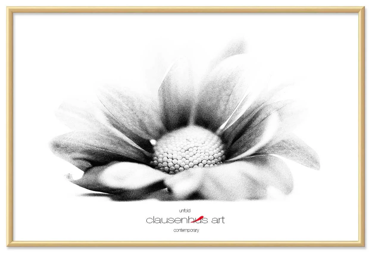 unfold-copy.jpg