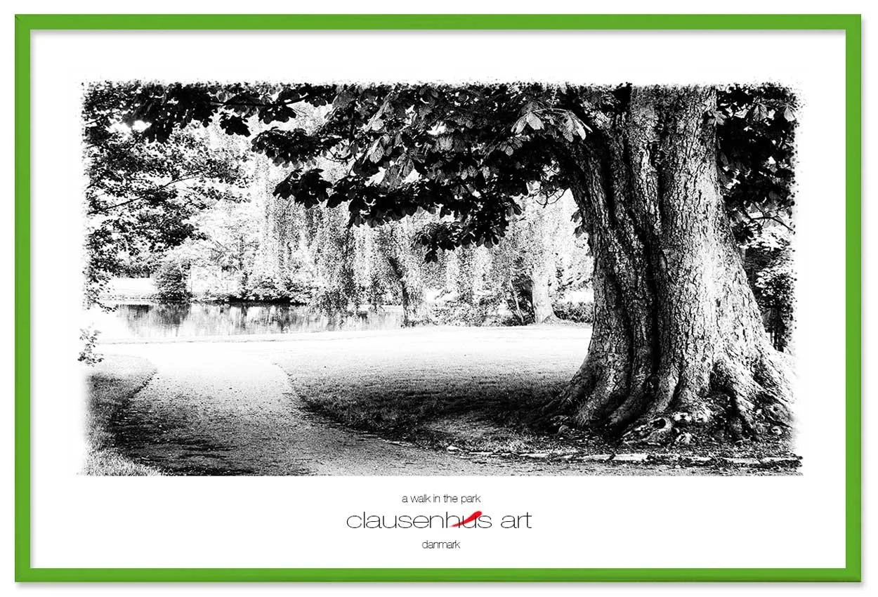 a-walk-in-the-park-copy.jpg