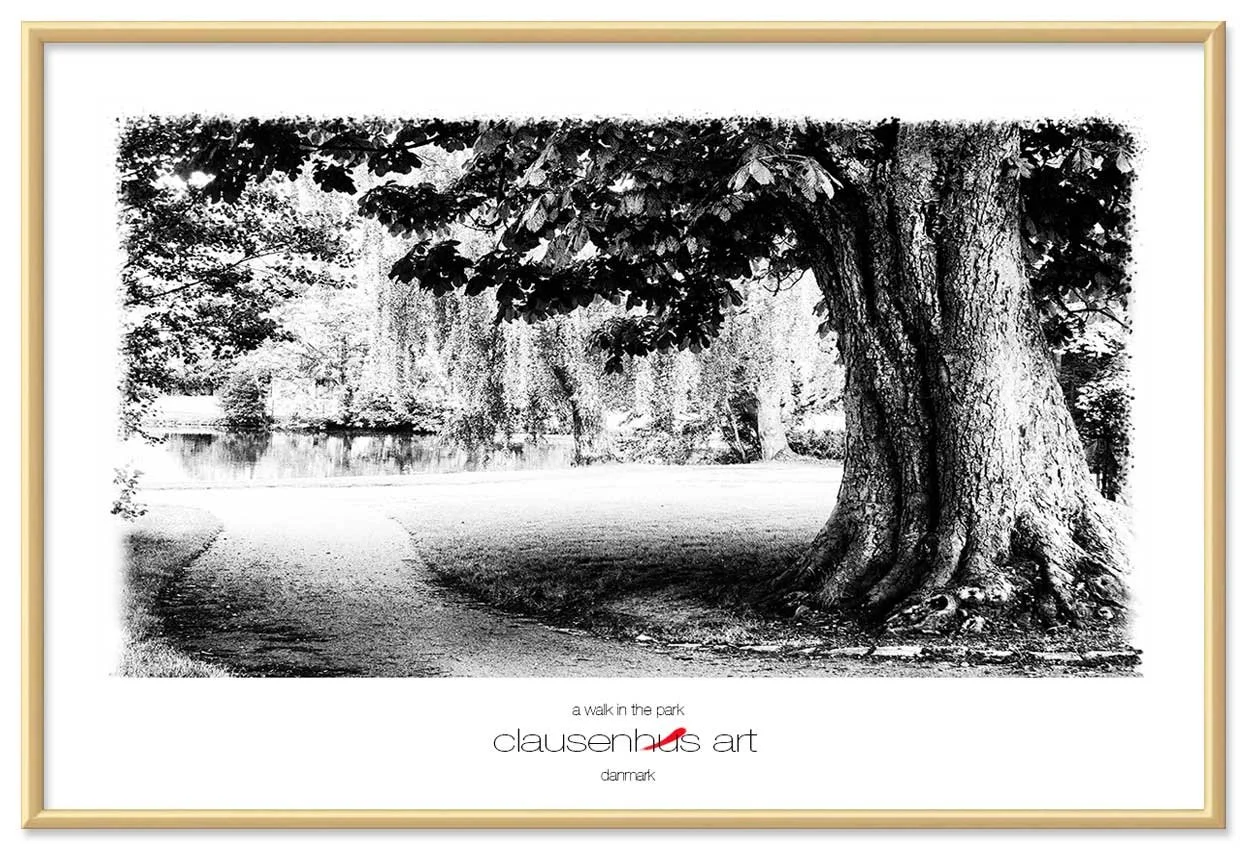 a-walk-in-the-park-copy.jpg