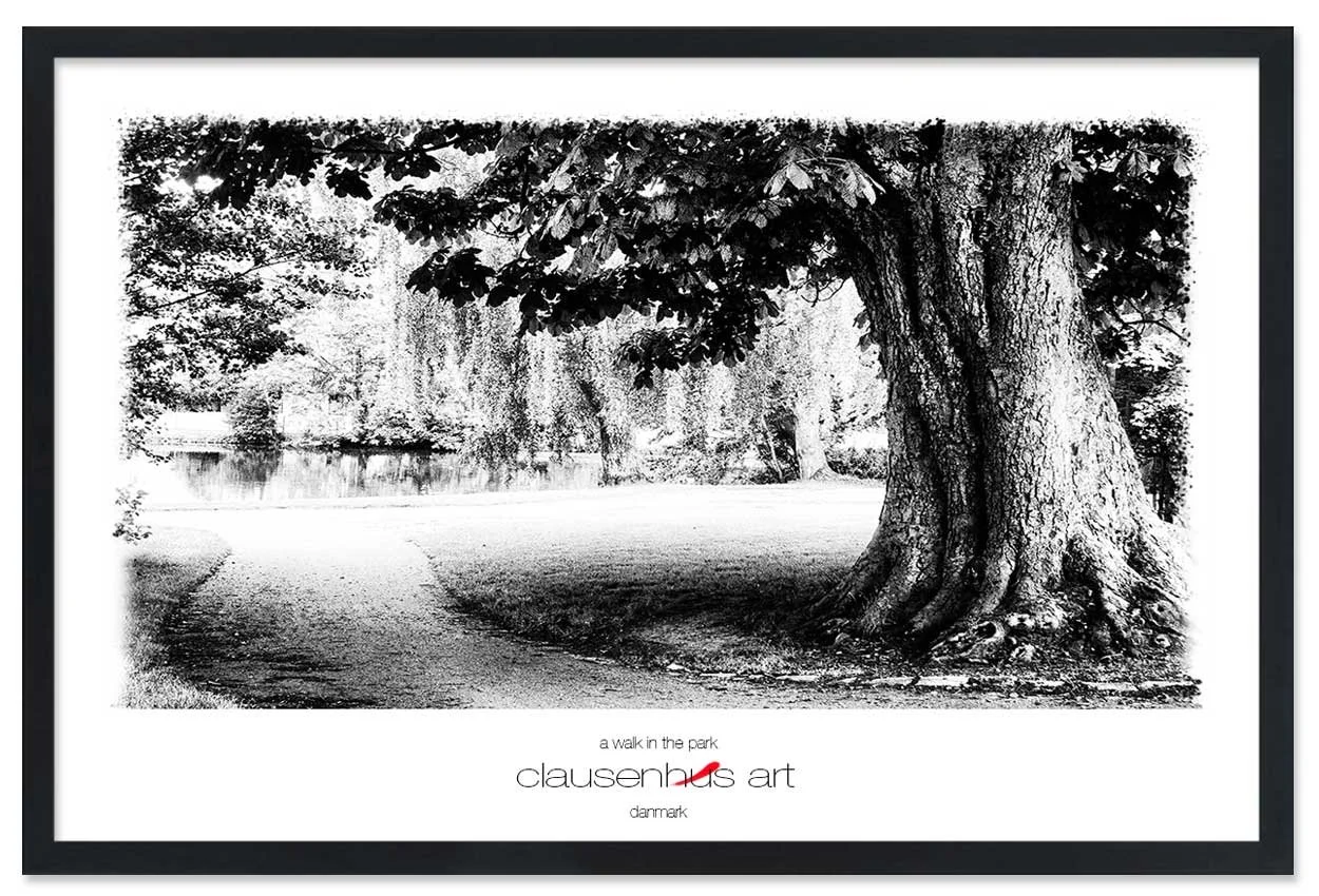 a-walk-in-the-park-copy.jpg