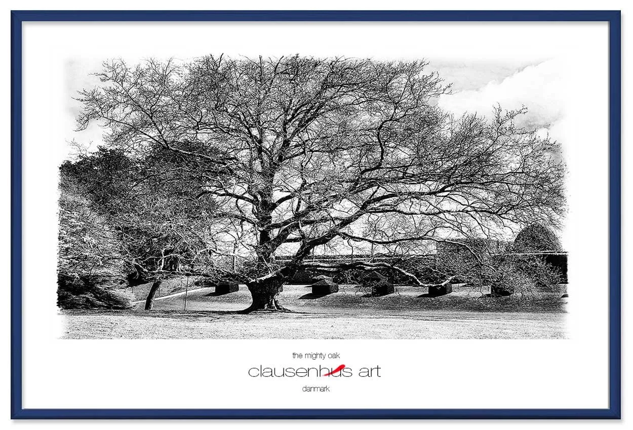 the-mighty-oak-copy.jpg