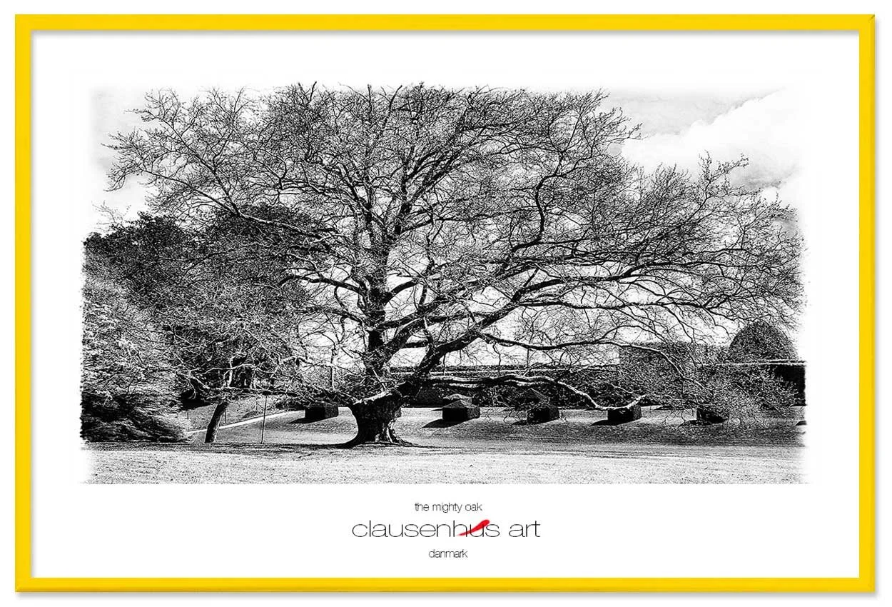 the-mighty-oak-copy.jpg