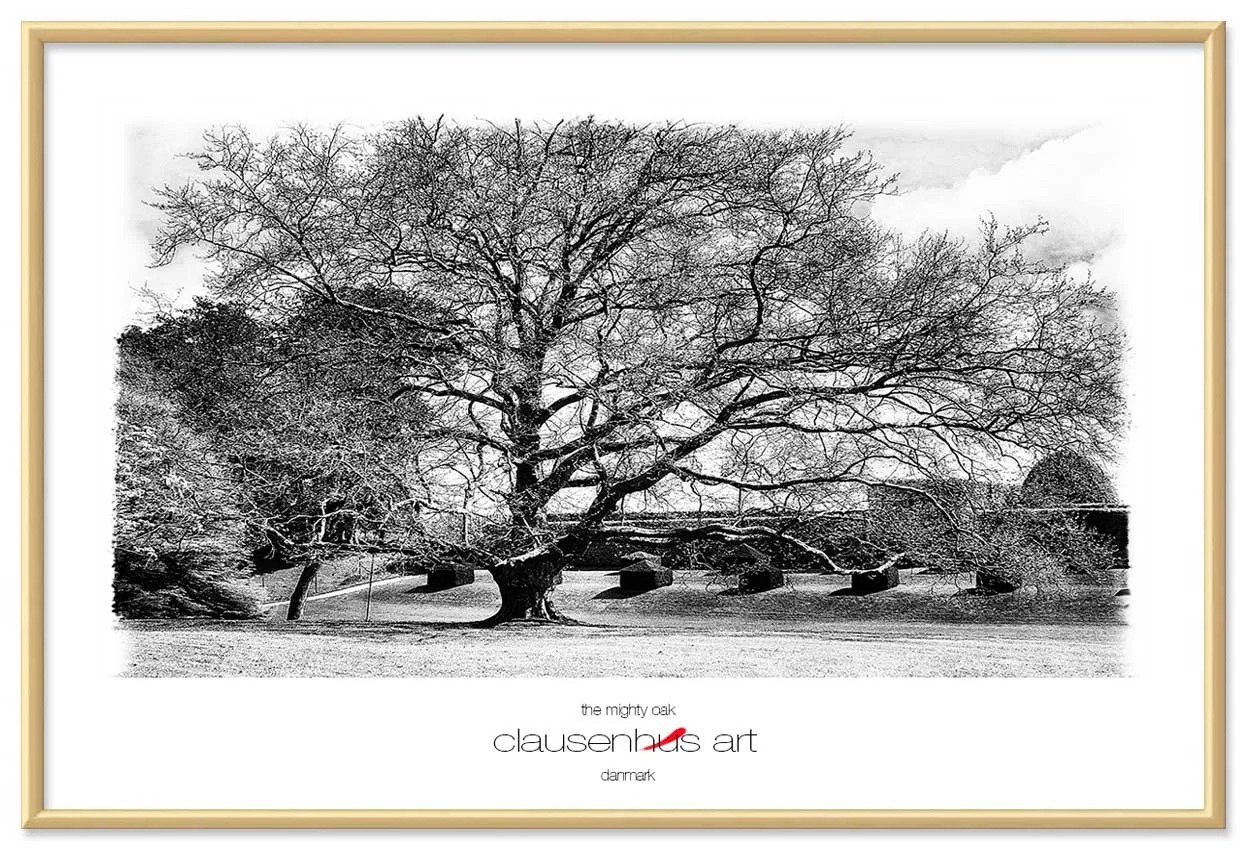 the-mighty-oak.jpg