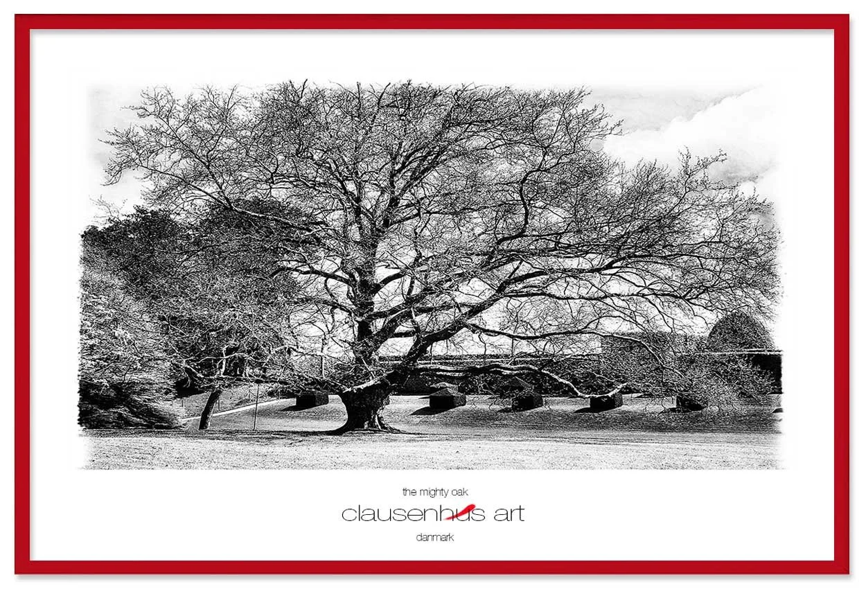 the-mighty-oak-copy.jpg