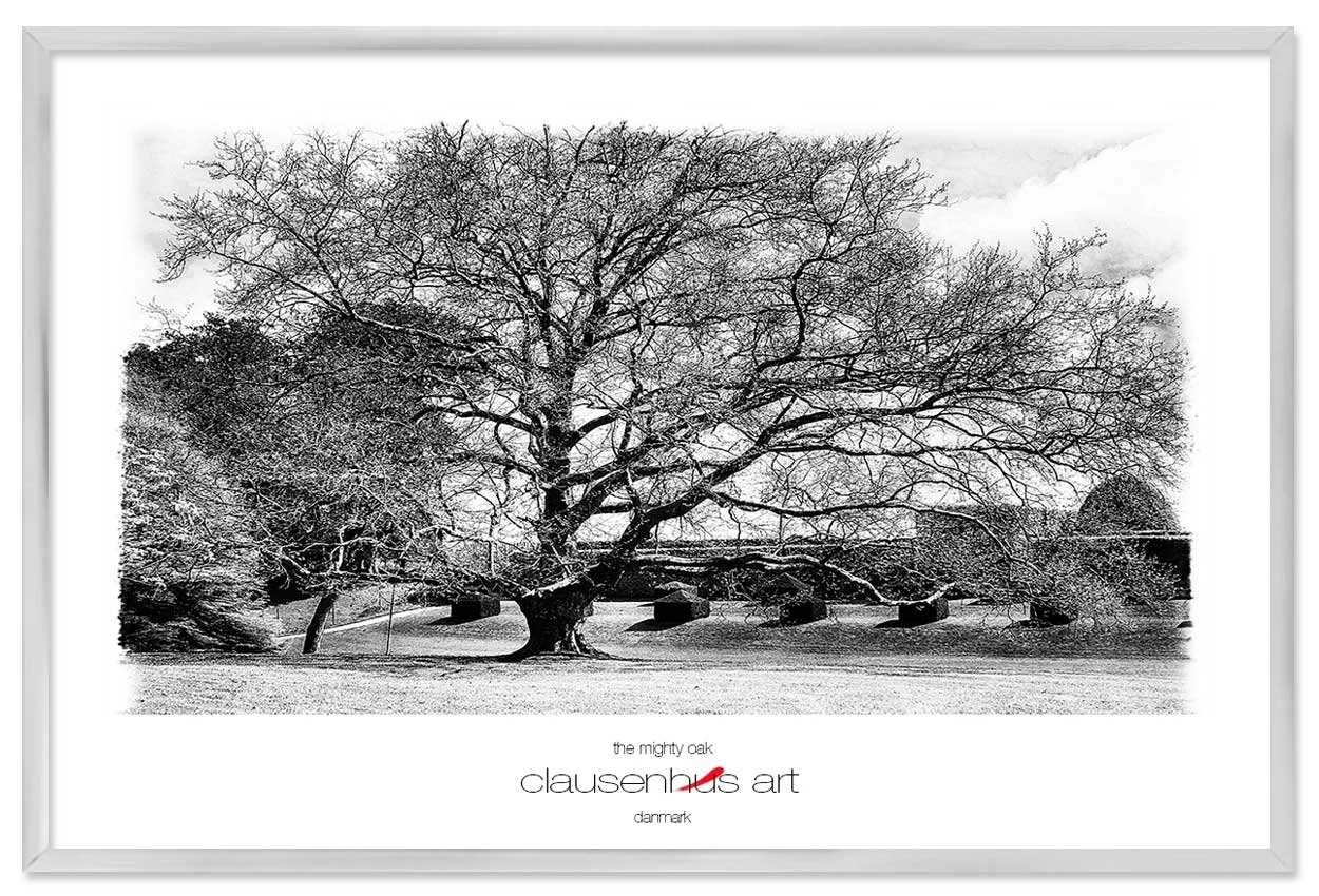 the-mighty-oak-copy.jpg