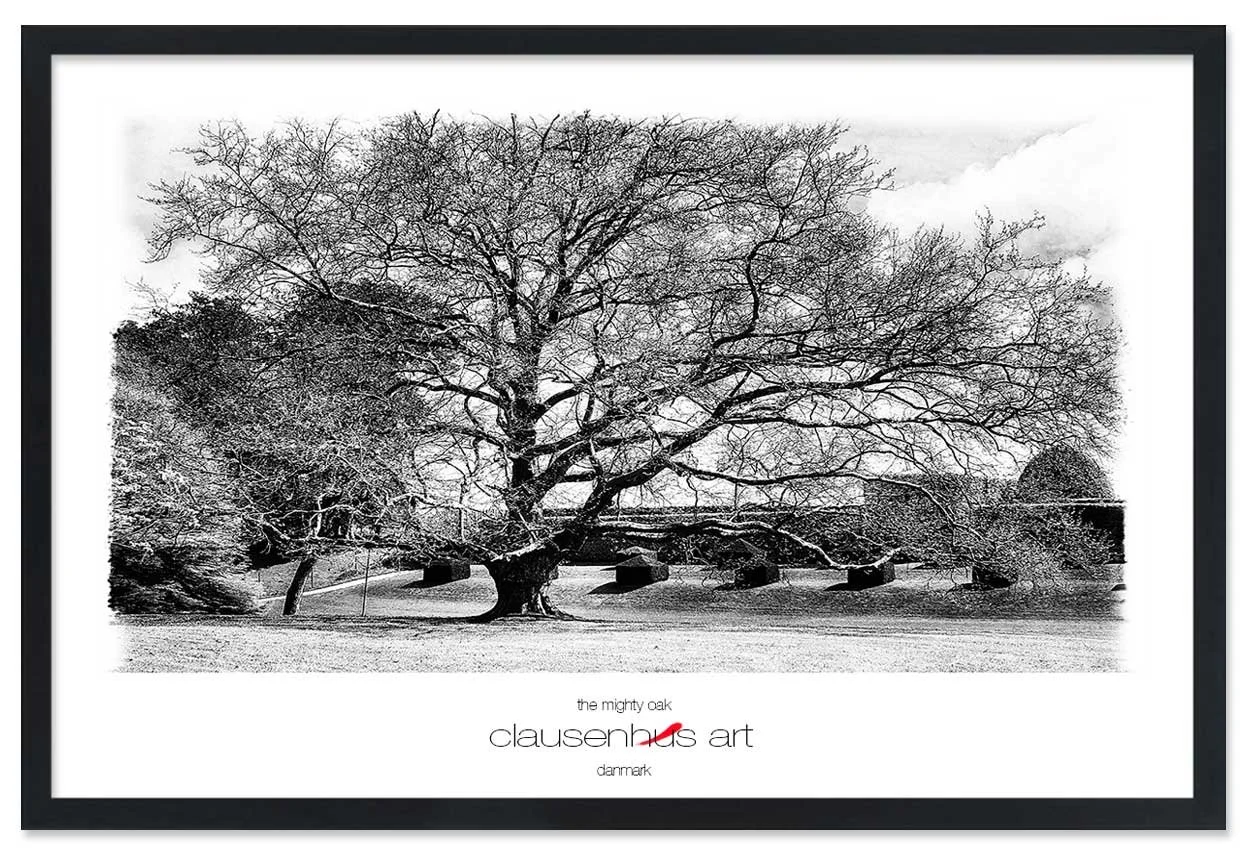 the-mighty-oak-copy.jpg